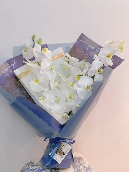 Elegance Phalaenosis white Bouquet（3 stk）