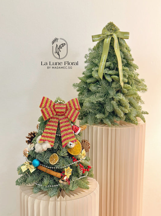 Real,Fresh&Live Christmas Tree 30cm - With Decorate