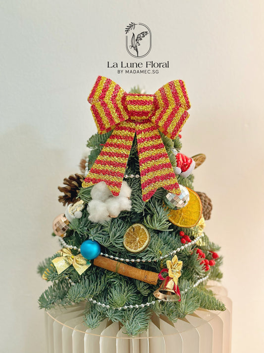 Real,Fresh&Live Christmas Tree 30cm - With Decorate