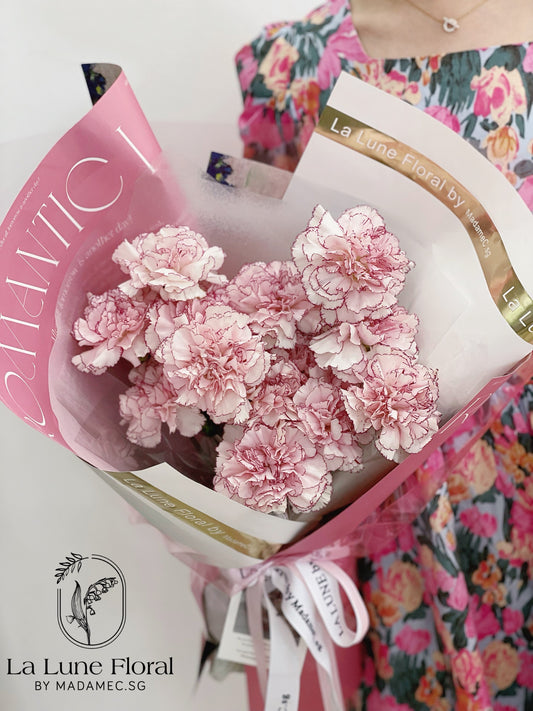 Columbia Carnation Bouquet —— Sweet Pink （11 stk）