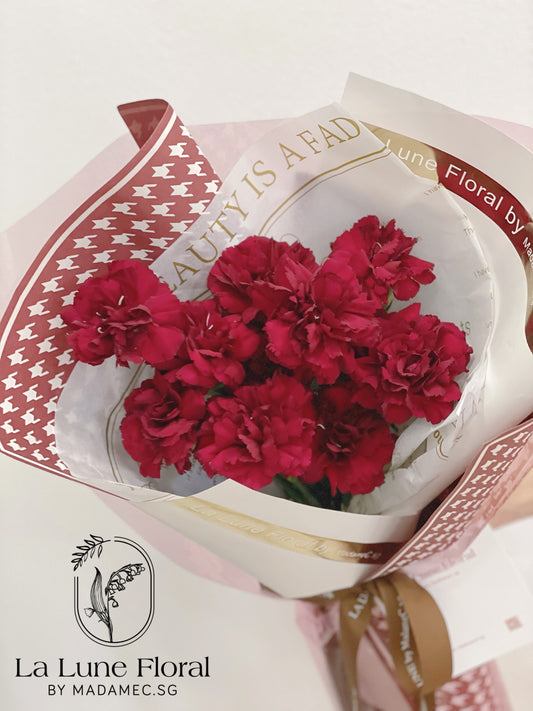Columbia Carnation Bouquet —— Classic Red（11 stk）