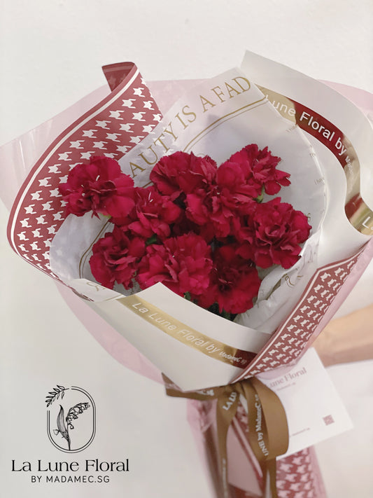 Columbia Carnation Bouquet —— Classic Red（11 stk）